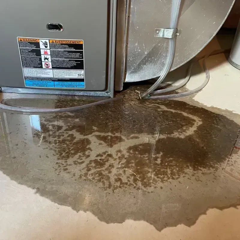 Appliance Leak Cleanup in Monroe County, FL